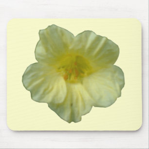 Pretty Nasturtium Flower Mousepad