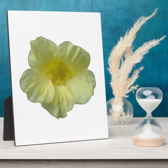 Pretty Nasturtium Plaque (Side)