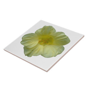 Pretty Nasturtium Tile