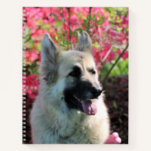 Pretty Notebook
