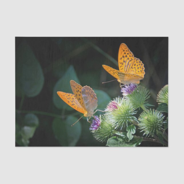 Pretty Orange Butterfly Floral Photo Tissue Paper (Front)