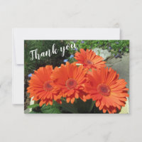 Pretty Orange Gerbera Daisy Photo Handwritten Tha
