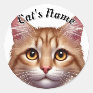 Pretty Orange Longhaired Cat • Personalized Classic Round Sticker