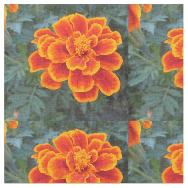 Pretty Orange Marigold Fabric (Close Up)