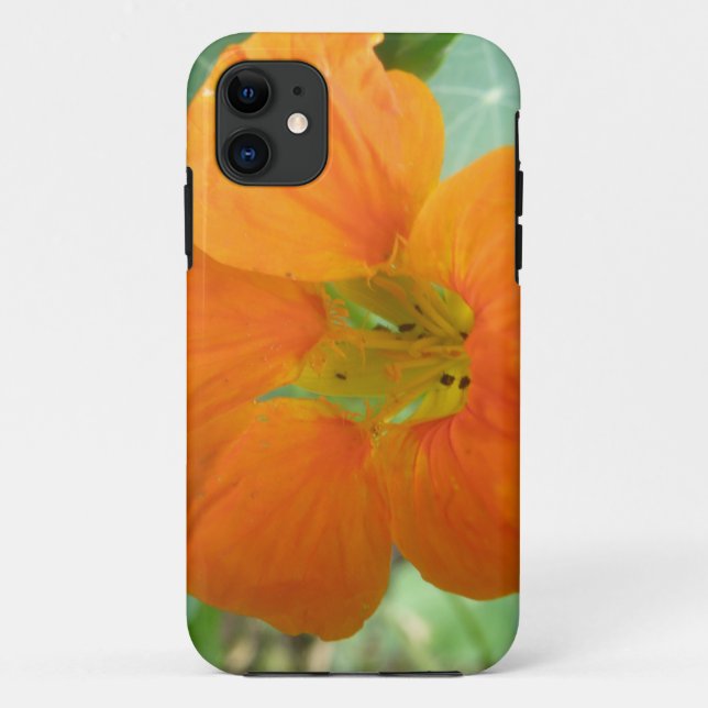 Pretty Orange Nasturtium Flower iPhone 5 Case (Back)