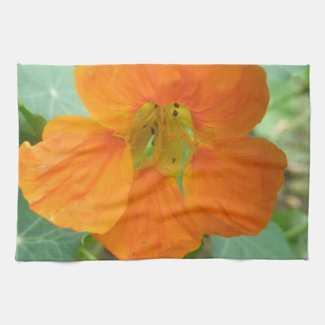 Pretty Orange Nasturtium Flower Kitchen Towel (Horizontal)
