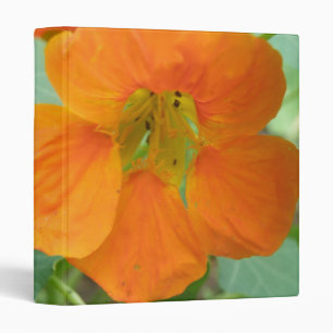 Pretty Orange Nasturtium Photograph Album Binder
