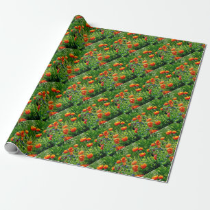 Pretty orange poppies wrapping paper