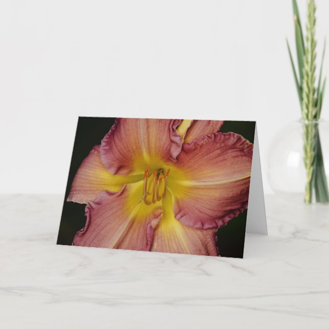 Pretty Orange Red Lily Flower Note Card (Front)