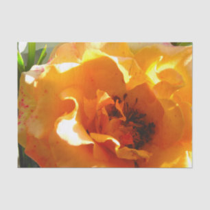 Pretty Orange Rose Tissue Paper
