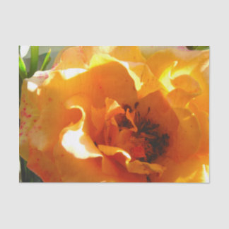 Pretty Orange Rose Tissue Paper