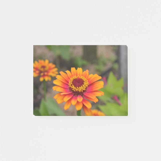 Pretty Orange Zinnia Post-it Notes (Front)