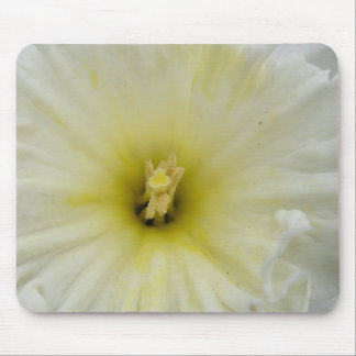 Pretty Pale Daffodil Mousepad