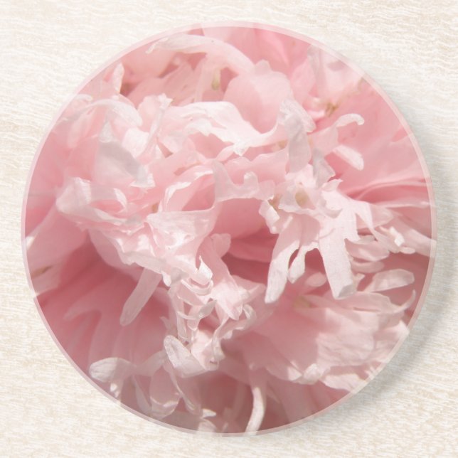 Pretty Pale Pink Poppy Coasters (Front)