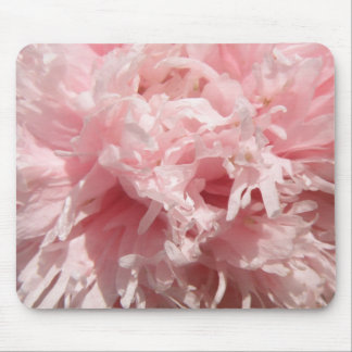 Pretty Pale Pink Poppy Mousepad