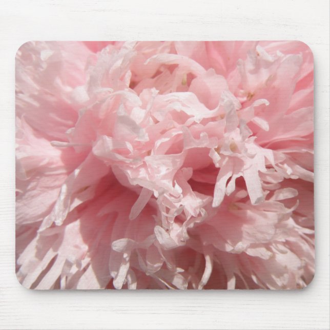 Pretty Pale Pink Poppy Mousepad (Front)
