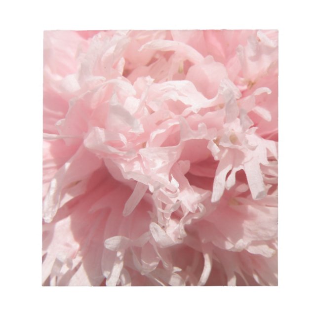 Pretty Pale Pink Poppy Notepad (Front)