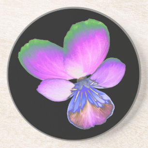 Pretty Pansy Coasters