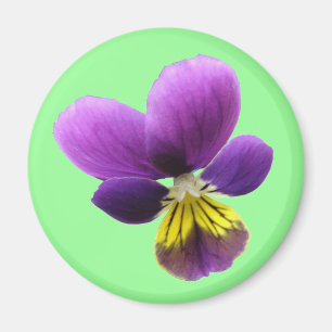 Pretty Pansy Magnet