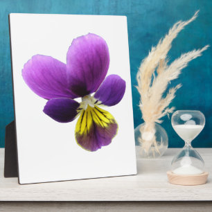 Pretty Pansy Plaque