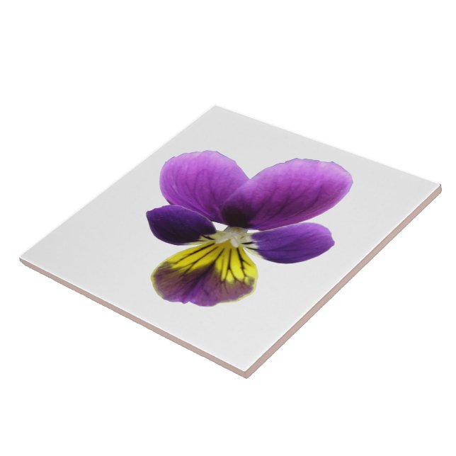Pretty Pansy Tile (Side)
