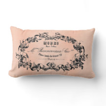 Pretty Paris French Antique Art Pillow