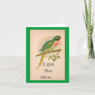 Pretty Parrot Birthday Card