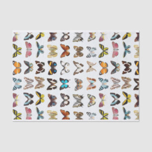 Pretty Pattern of Butterflies Tissue Paper
