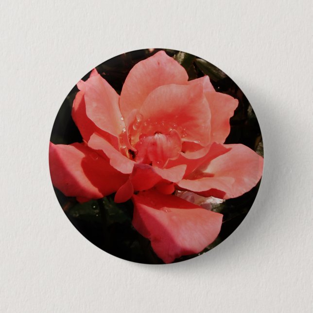 Pretty Peach Pink Rose floral 2 Inch Round Button (Front)