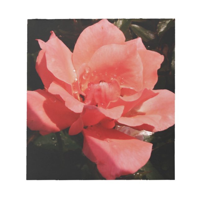 Pretty Peach Pink Rose floral Notepad (Front)