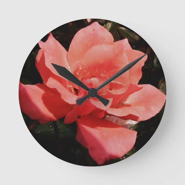 Pretty Peach Pink Rose floral Round Clock (Front)