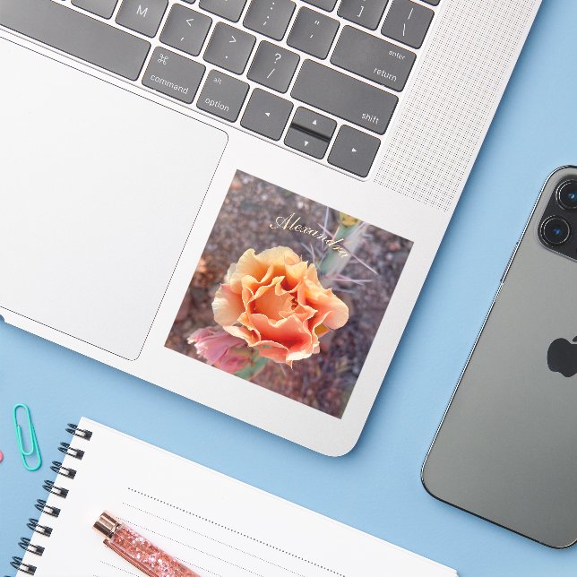 Pretty Peach Prickly Pear Flower (Laptop w/ iPhone)