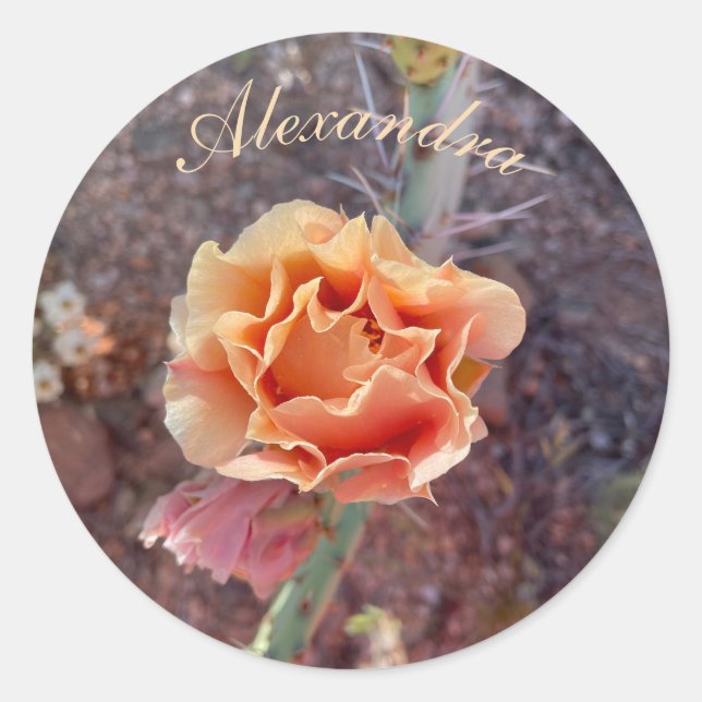 Pretty Peach Prickly Pear Flower Classic Round Sticker (Front)