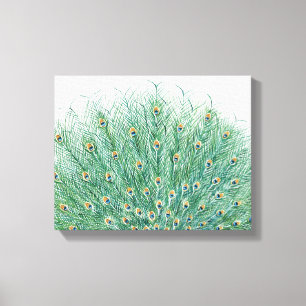 Pretty Peacock Feathers Canvas Print