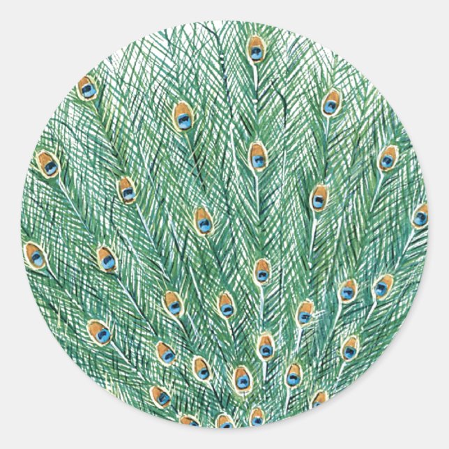 Pretty Peacock Feathers Classic Round Sticker (Front)