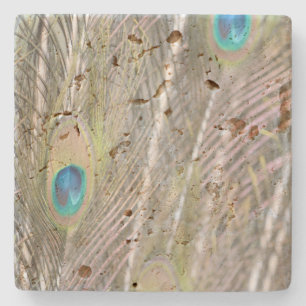 Pretty Peacock Feathers Stone Coaster