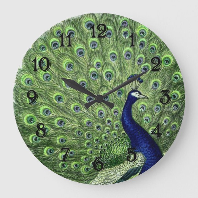 Pretty Peacock Large Clock (Front)