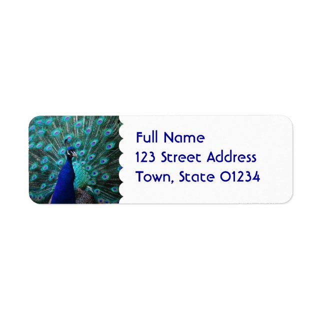 Pretty Peacock Mailing Label (Front)