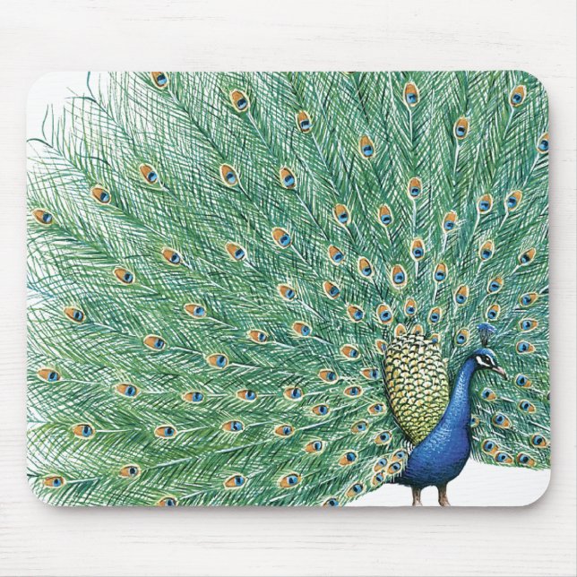 Pretty Peacock Mouse Pad (Front)