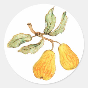 Pretty Pear Pair Classic Round Sticker