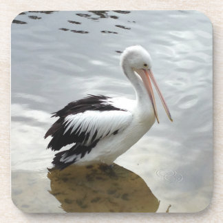 Pretty Pelican Coaster Set