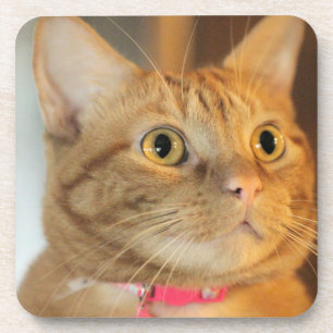 Pretty Penny Coaster