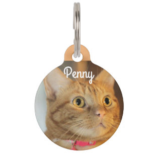 Pretty Penny Pet Tag