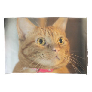 Pretty Penny  Pillowcase