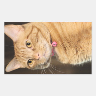 Pretty Penny Sticker