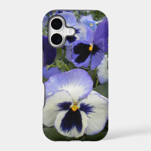 Pretty Periwinkle Pansies IPhone 5 Case