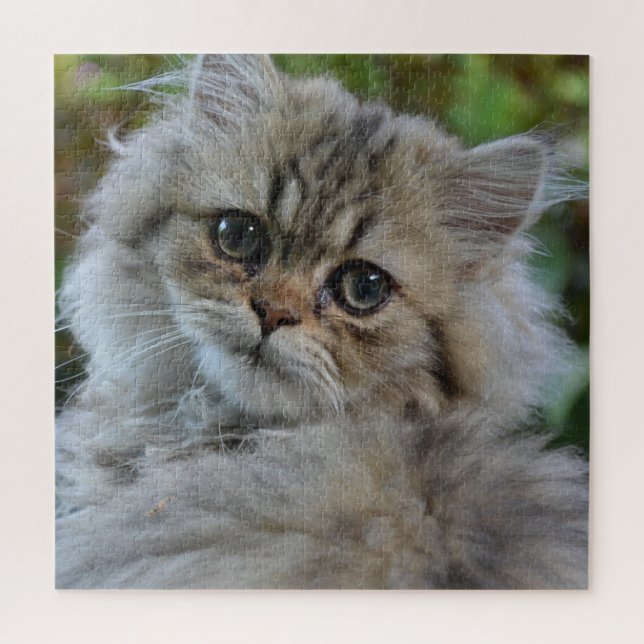 Pretty Persian Kitten Jigsaw Puzzle (Vertical)