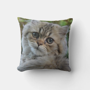 Pretty Persian Kitten Throw Pillow