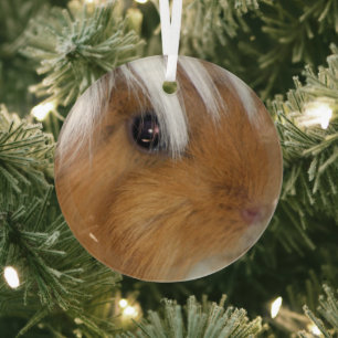 Pretty, Peruvian, Buff and White Guinea Pig Face Glass Ornament