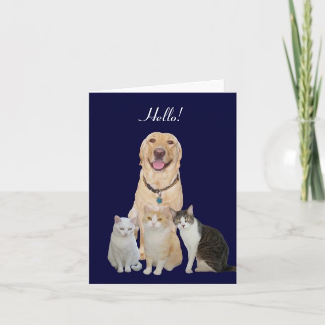 Pretty Pets Note Card (Front)